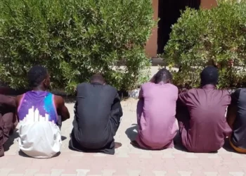 NSCDC nabs 11 suspected criminals in Kano