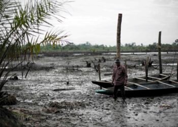 Activists demand action on Niger Delta environmental crisis