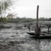 Activists demand action on Niger Delta environmental crisis