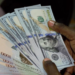 Nigeria’s foreign reserves rise by $540.28 million in 2 weeks to $43.17 billion