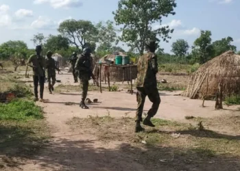 Jubilation as troops chase Boko Haram out of Borno State, restore calm in Magumeri