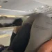 VIDEO: VeryDarkMan, Mr Jollof fights dirty on plane