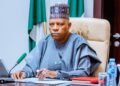COP 30: VP Shettima to unveil Nigeria’s green transition roadmap to world leaders