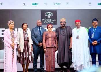 Woodhall Capital targets $50bn in global investments to drive Nigeria’s development