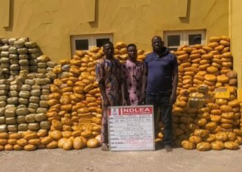 NDLEA uncovers Illegal colorado drug lab In Lagos, arrests 30-year-old suspect