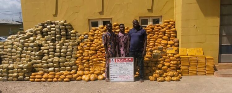 NDLEA uncovers Illegal colorado drug lab In Lagos, arrests 30-year-old suspect