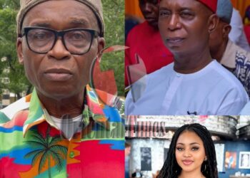 Law of reaping: List of people Senator Ned Nwoko has betrayed