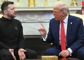 Trump gives Zelenskyy deadline to accept peace offer