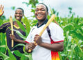 Agriculture contributes over 35% to Nigeria’s GDP — Group