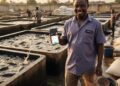 How FairMoney Is Powering Financial Inclusion for Nigerian Hustlers