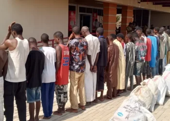 NDLEA seizes 1,396.5 kg of narcotics, arrests 150 suspects in Adamawa