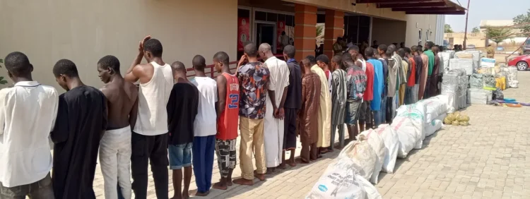 NDLEA seizes 1,396.5 kg of narcotics, arrests 150 suspects in Adamawa