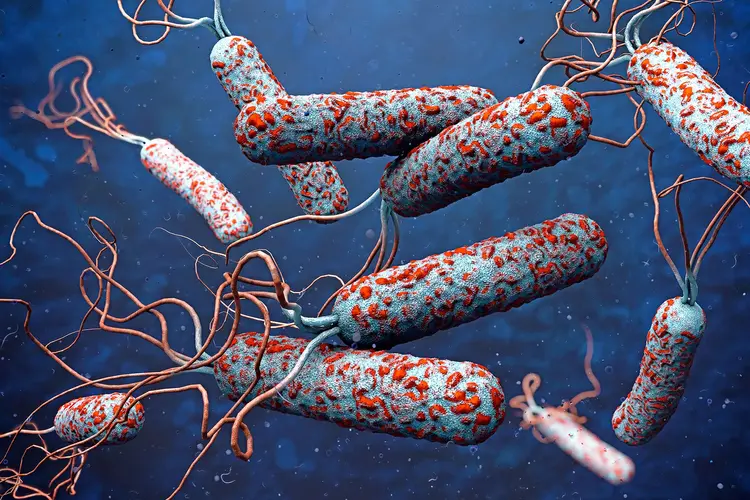 Zamfara govt clears cholera outbreak, records 192 death