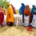 FG empowers 9,870 farmers with inputs, modern rice technologies in Kano