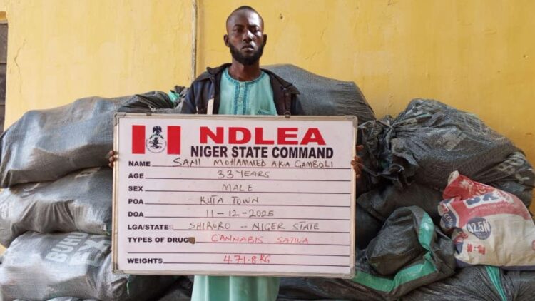 NDLEA captures fleeing bandit drug supplier ‘Gamboli’ in Niger