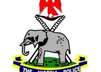 Nigeria Police force releases new directives on tinted glass permit