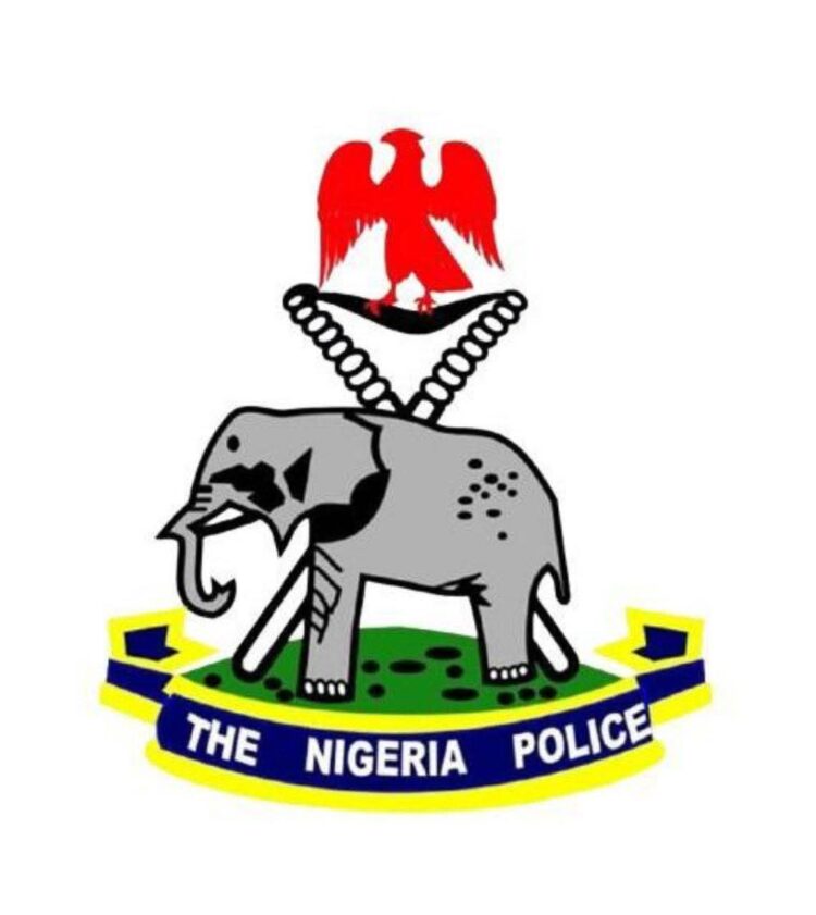Nigeria Police force releases new directives on tinted glass permit