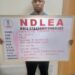 PHOTOS: NDLEA arrests female drug kingpin in Lagos
