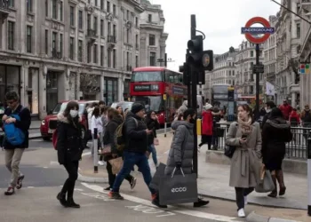 UK job vacancies record biggest drop in 2025