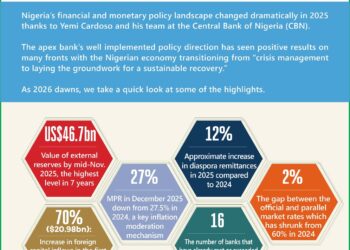 How will Yemi Cardoso and the CBN fare in 2026? –Toni Kan