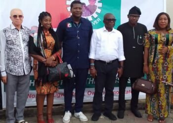 Labour Party elects new state executive in Imo