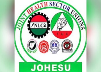 NLC pledges support for JOHESU strike