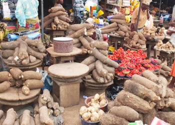 Food prices rise in October 2025 – NBS