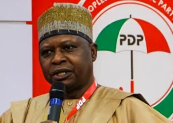 PDP chairman-led NWC to meet ex-govs, others