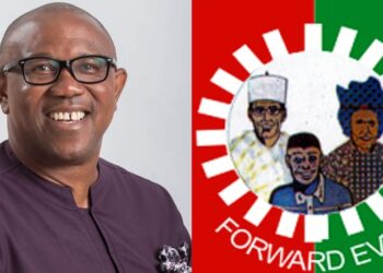 ‘What Peter Obi’s defection to ADC means to us’ – LP