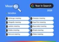 Top Nigeria’s Google searches in 2025