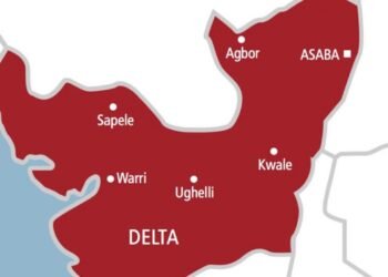 Anioma leaders reject proposal for inclusion in South-East