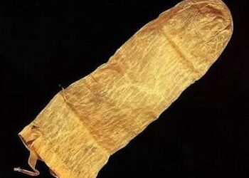 Picture of the world oldest surviving condom from 1640