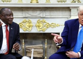 South Africa ‘steps back’ from G20 under Trump