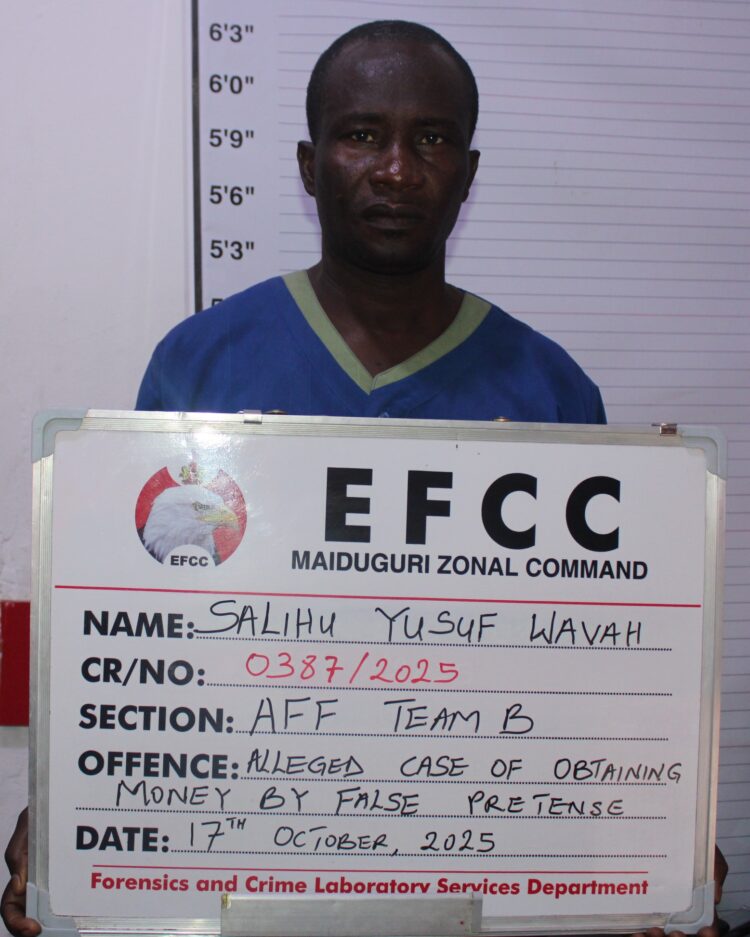 EFCC arraigns one for N20m fraud in Maiduguri 