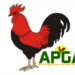 APGA issues timetable for 2026 Anambra LG primaries
