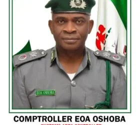 Customs, NDLEA seize 347.5kg cannabis at Apapa Port