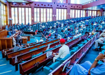 BREAKING: House of reps minority caucus confirms alteration of gazetted tax laws