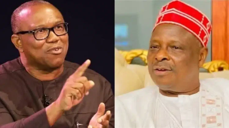2027: Peter Obi-Kwankwaso is the right decision for Nigeria – Obasanjo