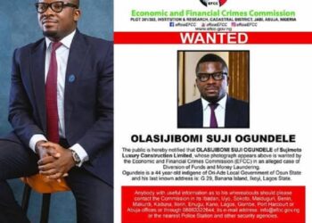 Court appoints administrator for Sujimoto Holdings