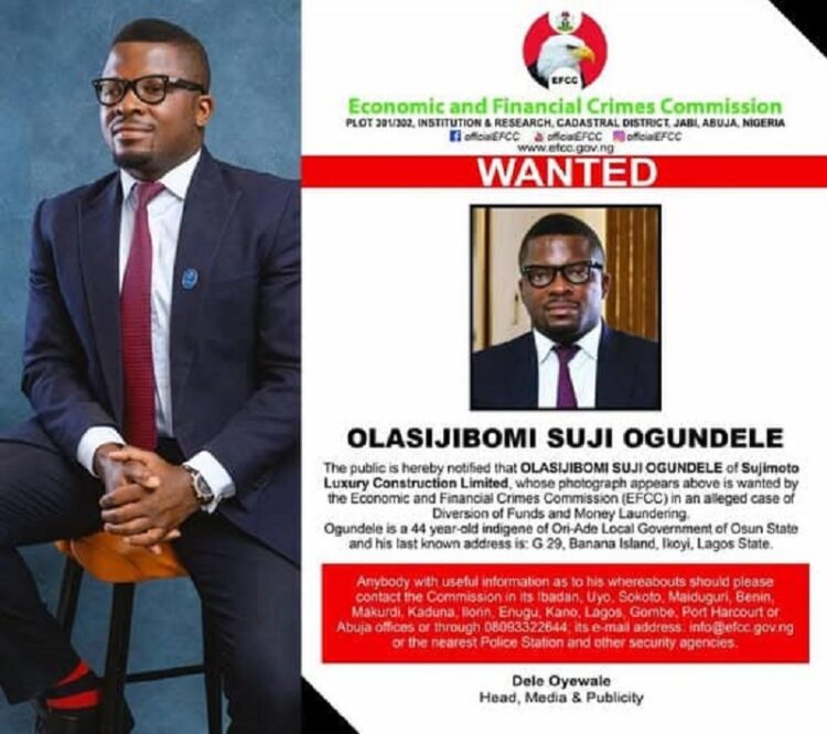 Court appoints administrator for Sujimoto Holdings