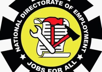 FG begins January 2026 payment of N10,000 monthly stipend to NDE RHEI Trainees