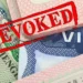 US revokes over 100,000 foreign visas in 2025