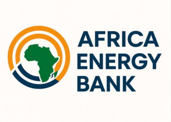 African Energy Bank to raise $15bn by 2030 – APPO