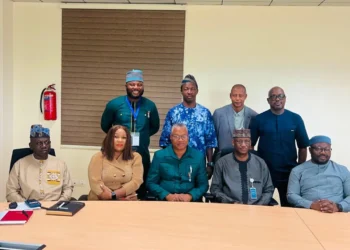 NIEEE, NISO partner to boost power sector capacity