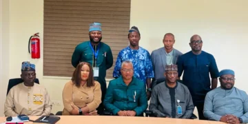 NIEEE, NISO partner to boost power sector capacity