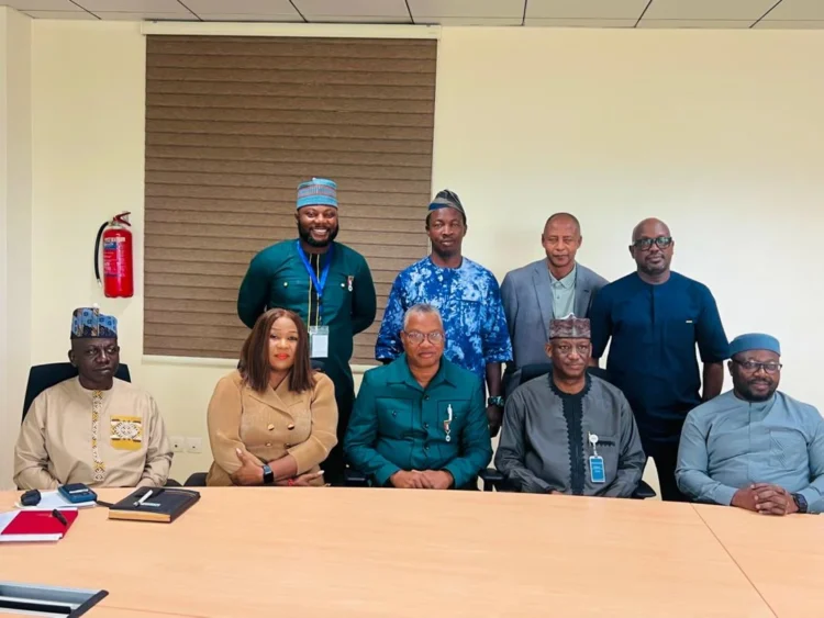 NIEEE, NISO partner to boost power sector capacity