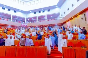 Senate re-passes Electoral Act amendment Bill, retains proviso on Clause 60(3)