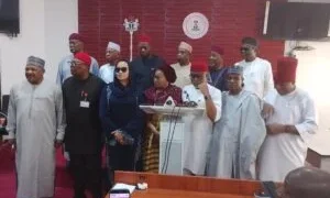 Electoral Act: Senate reaffirms passage of clause on e-transmission of results