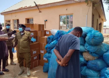 NDLEA seizes 490 Kg of suspected cannabis, 17,568 bottles of Codeine syrup in Sokoto