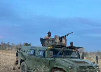 Troops neutralise 16 ISWAP terrorists, rescue 11 victims in Borno